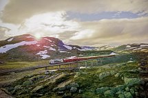 Erlebnis Bergenbahn im Sommer - Bergenbahn