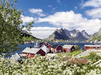 Nordkap, Lofoten und Fjorde - Reine, Lofoten