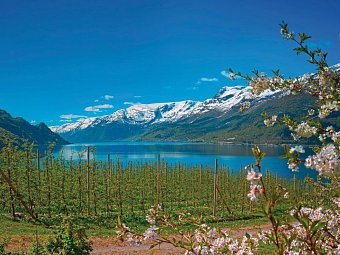 Norwegens schönste Fjorde - Hardangerfjord