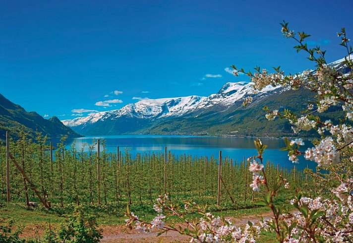 Norwegens schönste Fjorde