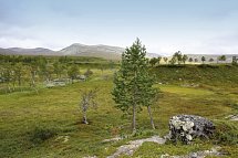 Traumhaftes Fjell-und Fjordnorwegen - Femunden Nationalpark