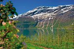 Norwegens Naturschauspiele erleben