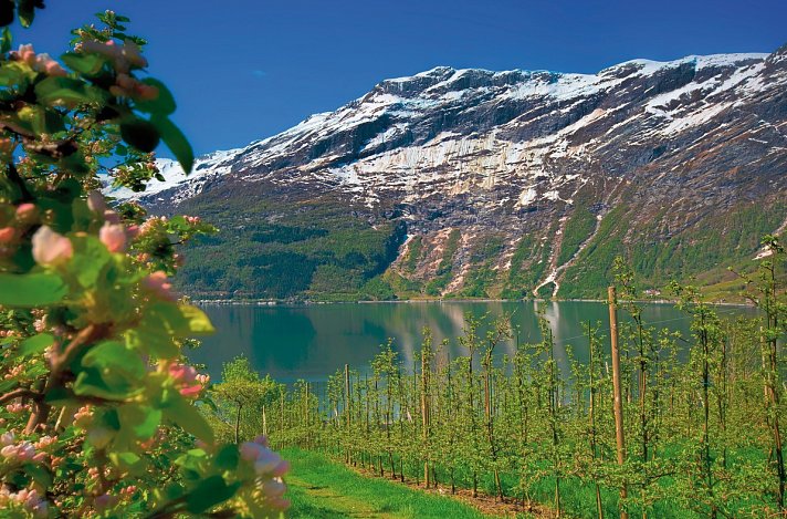 Norwegens Naturschauspiele erleben