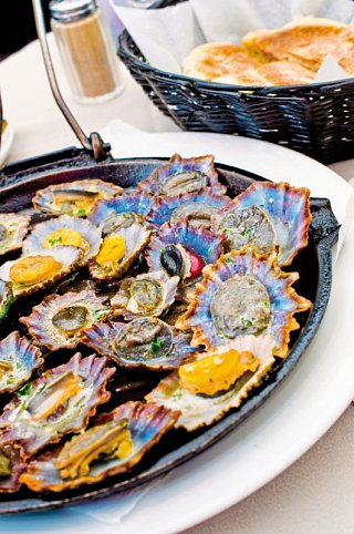 Walbeobachtungen und Inselhüpfen