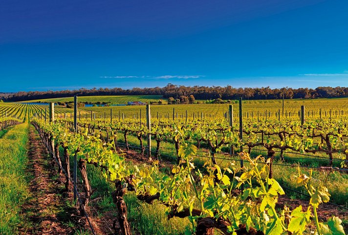 Highlights des Südwestens - Margaret River