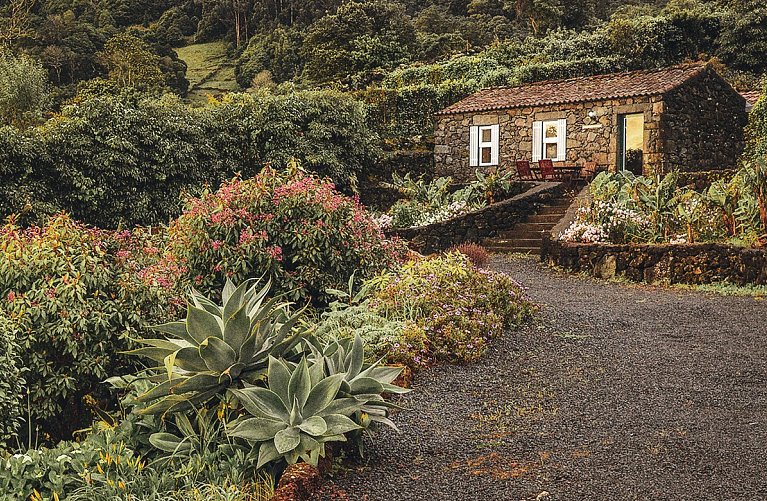 Adegas Do Pico