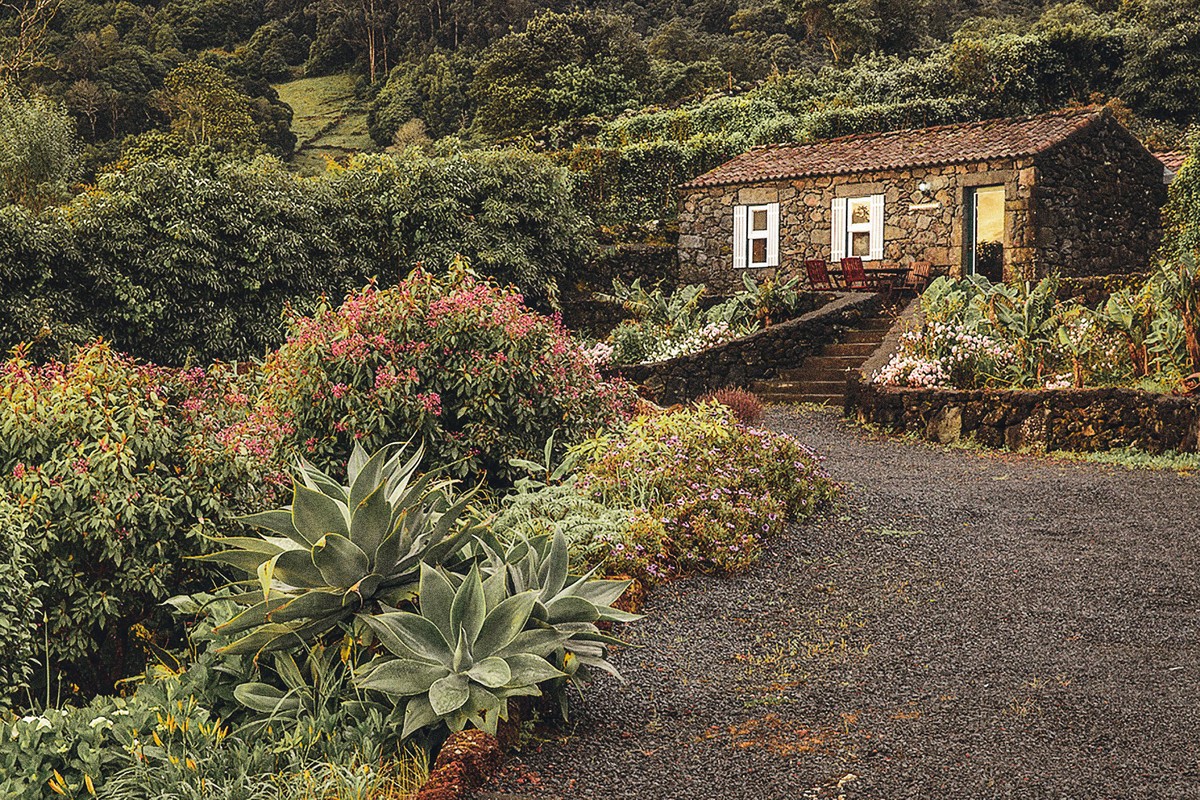 Adegas Do Pico