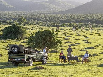 Gartenroute zum Verweilen (Gqeberha (Port Elizabeth) - Kapstadt) - Sundowner im Wildreservat