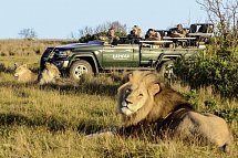 Gartenroute zum Verweilen (Gqeberha (Port Elizabeth) - Kapstadt) - Pirschfahrt im Kariega Game Reserve