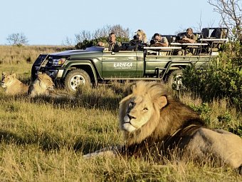 Gartenroute zum Verweilen (Gqeberha (Port Elizabeth) - Kapstadt) - Pirschfahrt im Kariega Game Reserve