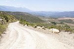 Gartenroute zum Verweilen (Gqeberha (Port Elizabeth) - Kapstadt)