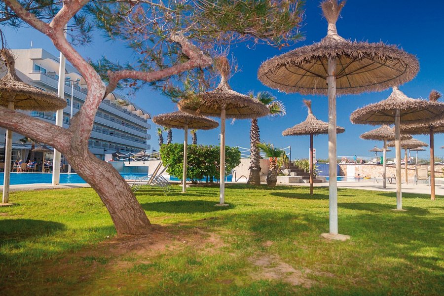 Eix Platja Daurada & Spa