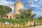 Rundfahrt Mallorca