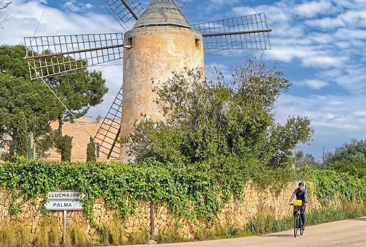 Rundfahrt Mallorca