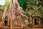 Kambodschas Schätze