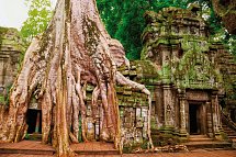 Kambodschas Schätze - Ta Prohm Tempel, Angkor