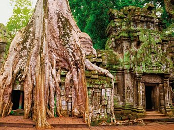 Kambodschas Schätze - Ta Prohm Tempel, Angkor