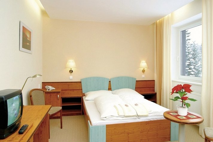 Interhotel Montana