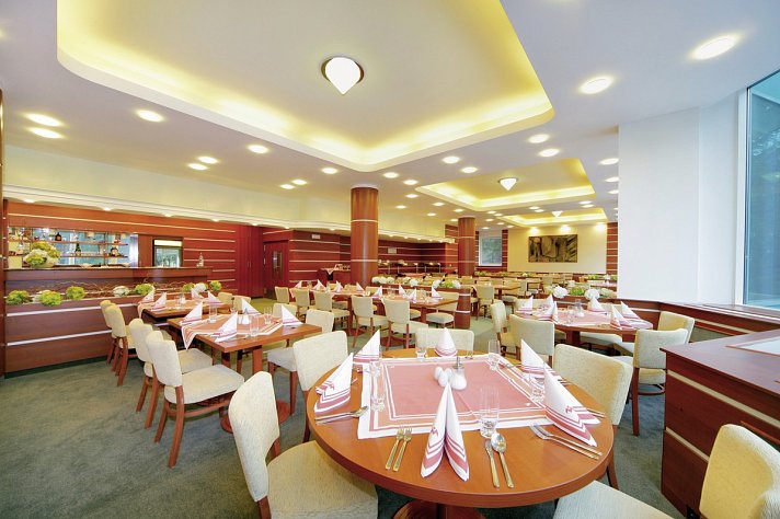 Interhotel Montana