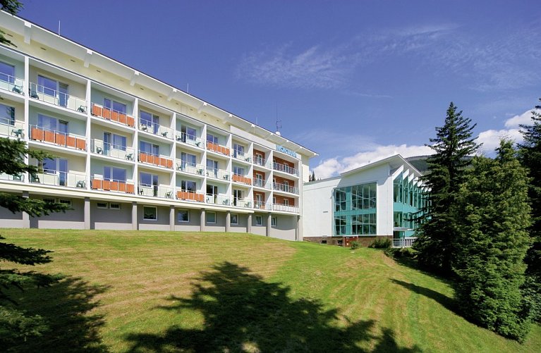Interhotel Montana