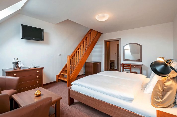 Pytloun Wellness Hotel Hasistejn