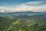 Best of Panama