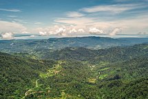 Best of Panama