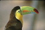 Best of Panama