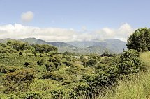 Best of Panama - Boquete