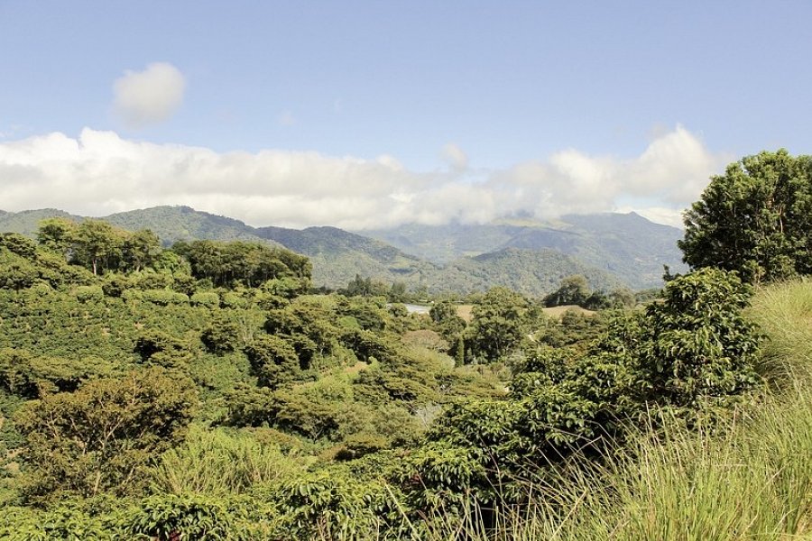 Best of Panama - Boquete