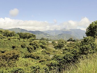 Best of Panama - Boquete