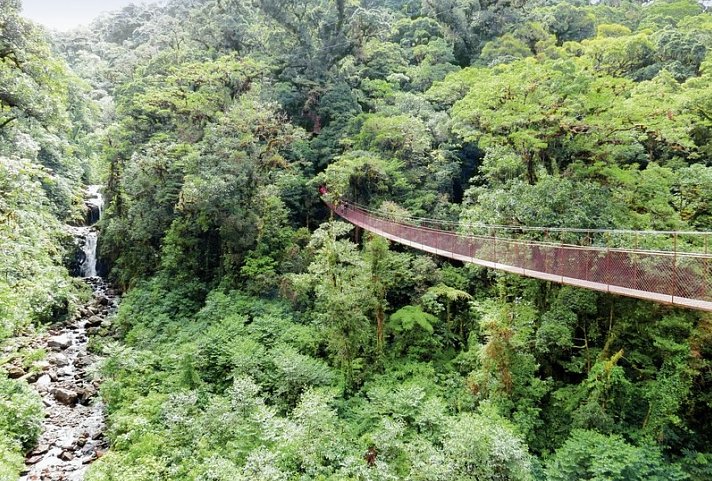Panama auf eigene Faust - Abgabe in David und Rückflug nach Panama City - Hängebrücke bei Boquete