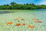 Panama auf eigene Faust inkl. Anschluss Bocas del Toro