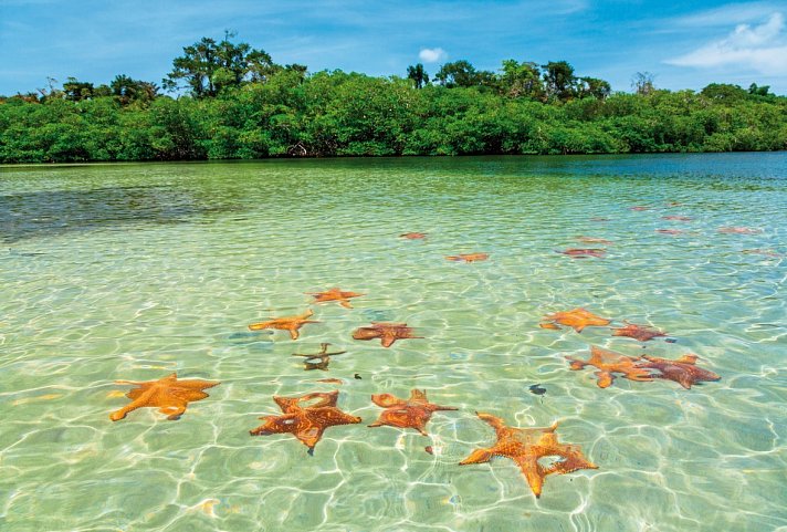 Panama auf eigene Faust inkl. Anschluss Bocas del Toro - Insel Colón/Bocas del Toro