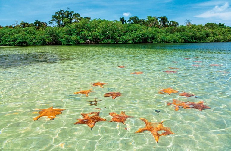 Panama auf eigene Faust inkl. Anschluss Bocas del Toro
