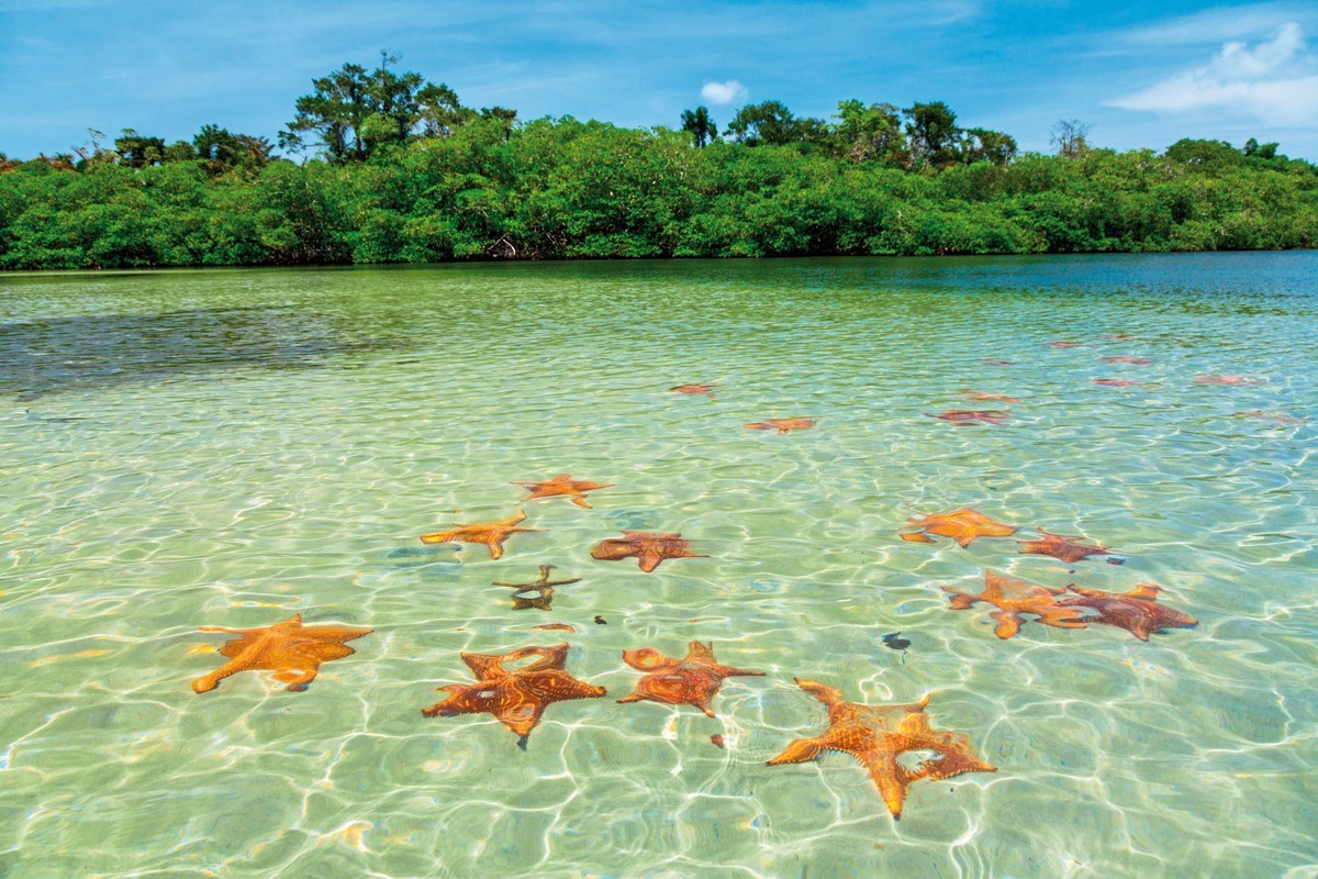 Panama auf eigene Faust inkl. Anschluss Bocas del Toro