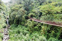Panama auf eigene Faust inkl. Anschluss Bocas del Toro - Hängebrücke bei Boquete