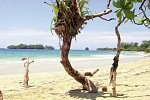 Panama auf eigene Faust inkl. Anschluss Bocas del Toro