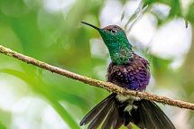 Panama auf eigene Faust inkl. Anschluss Bocas del Toro