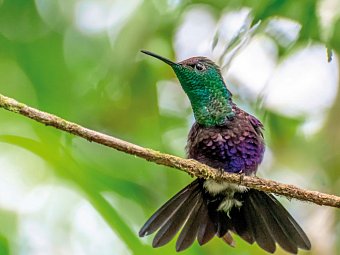Panama auf eigene Faust inkl. Anschluss Bocas del Toro