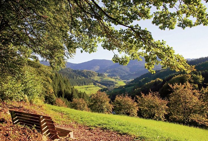 Häfner's Flair Hotel Adlerbad - Peterstaler Schwarzwaldsteig