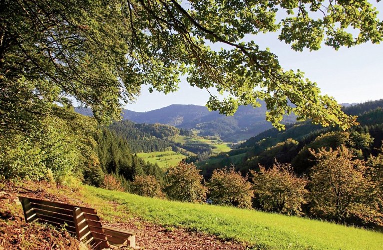 Häfner's Flair Hotel Adlerbad