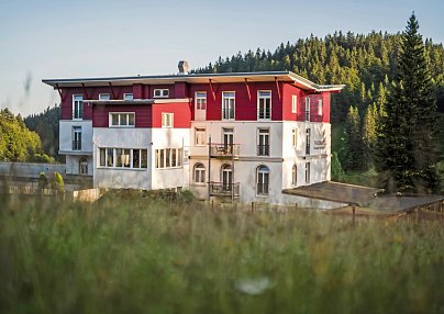 Waldhotel am Notschreipass Todtnau