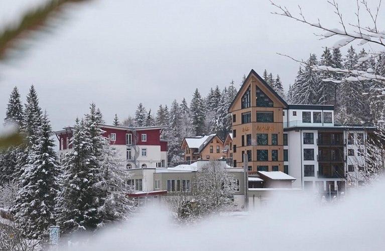 Waldhotel am Notschreipass