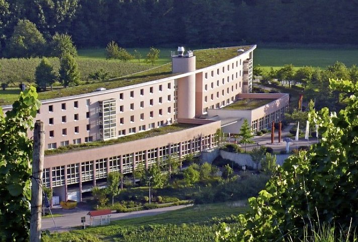 Dorint Hotel Durbach