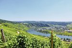 Mosel-Radweg - Der Klassiker