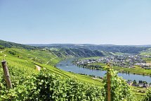 Mosel-Radweg - Der Klassiker