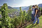 Mosel-Radweg - Der Klassiker