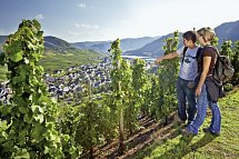 Mosel-Radweg - Der Klassiker