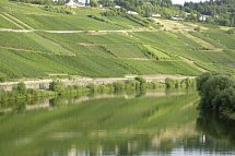 Mosel-Radweg - Der Klassiker